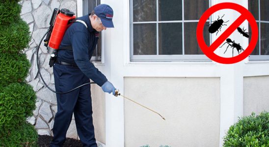 Hopa Gümüşkurt İlaçlama böcek ilaçlama ve haşere kontrolü — ilaclama-tr.com